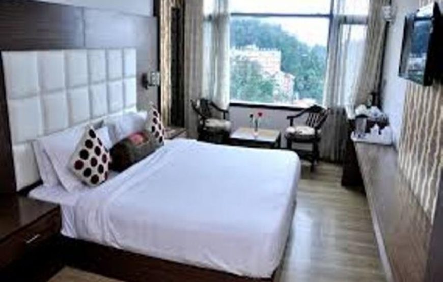 Hotel Surya Executive Suite