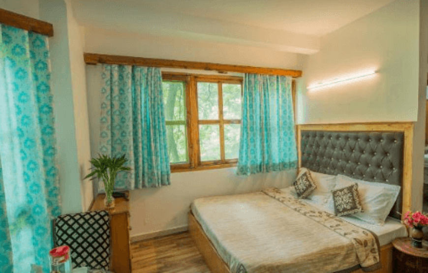 Hotel D Chalet Manali