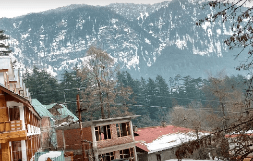 Hotel D Chalet Manali