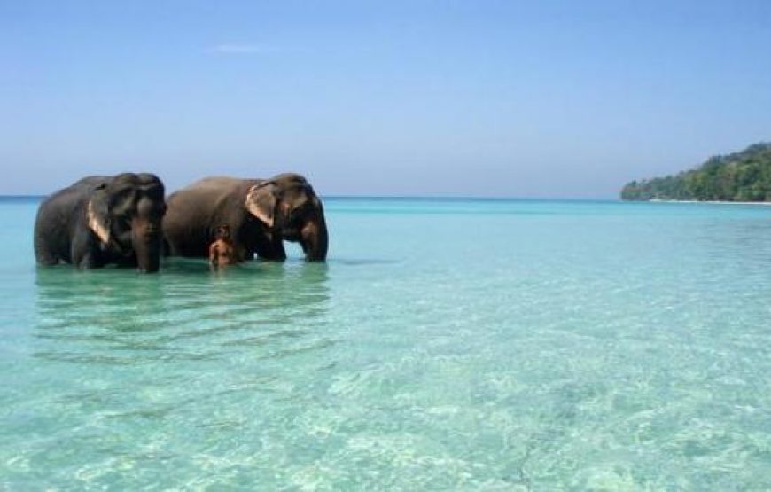 Andaman Tour Package Five Night