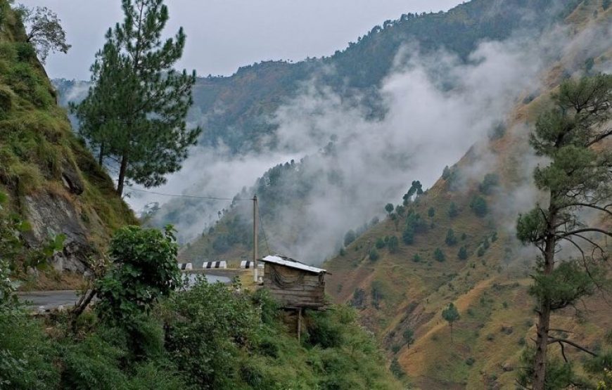 Kasauli Tour Package From Delhi