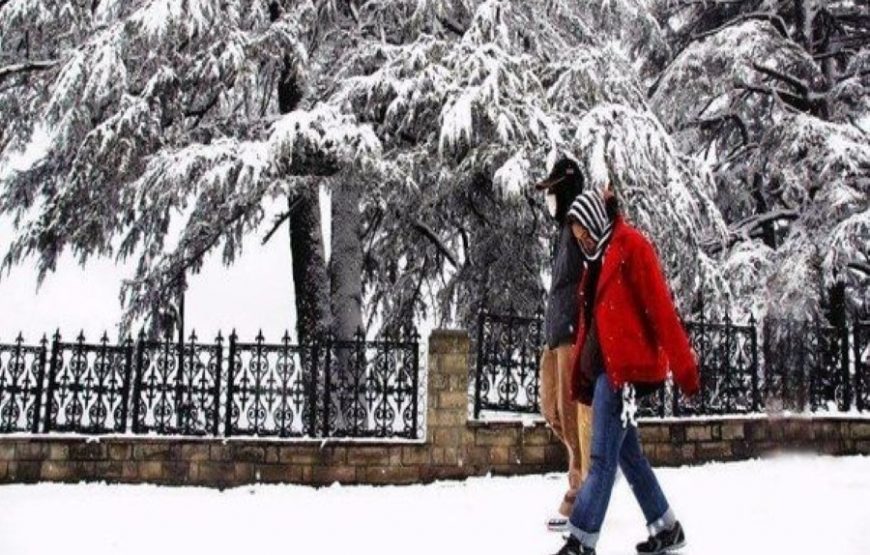 Luxurious Manali Honeymoon Package