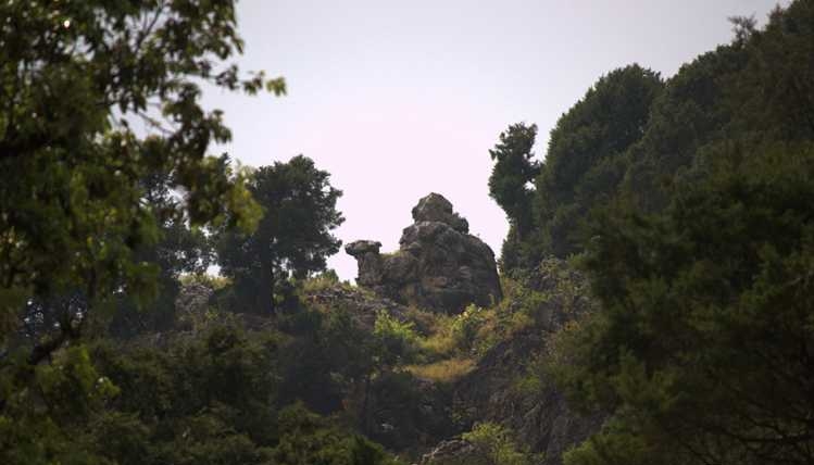 Day 2 : Local sightseeing of Mussoorie