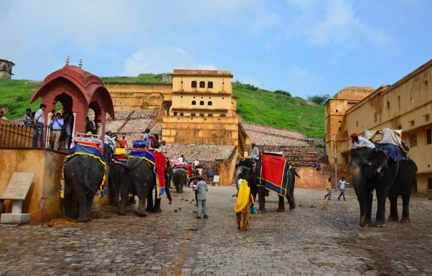 Rajasthan Tour Pakage From Delhi