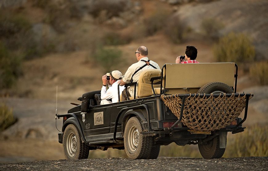 Bera leopard safari Package