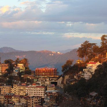 shimla