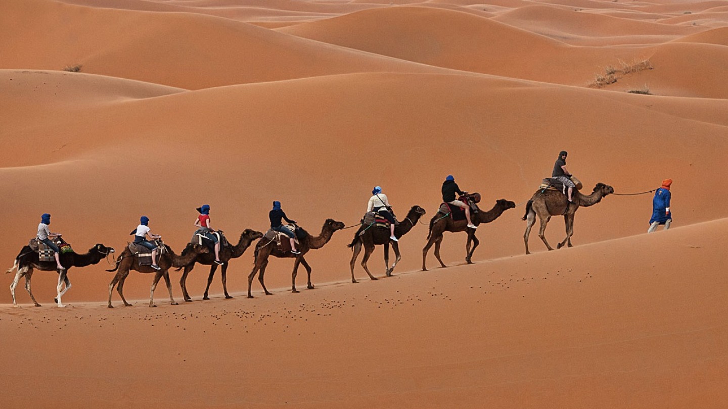 Day 09 : Jaisalmer Local Sightseeing