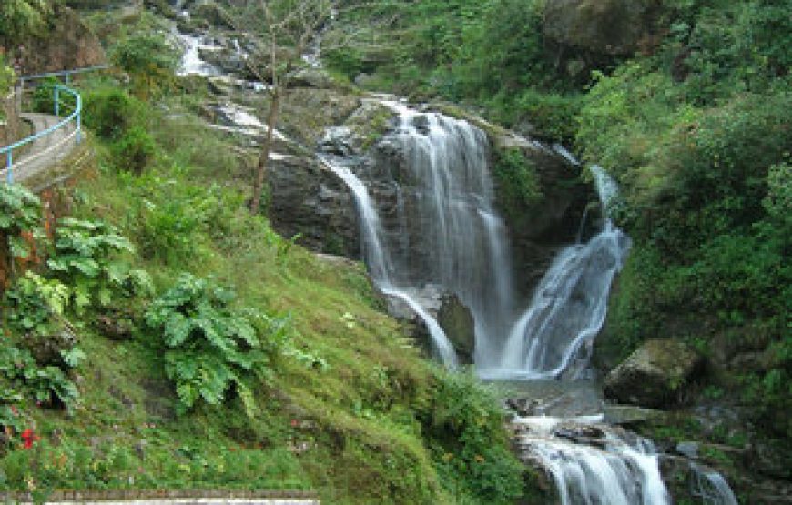 Gangtok And Darjeeling Tour Package