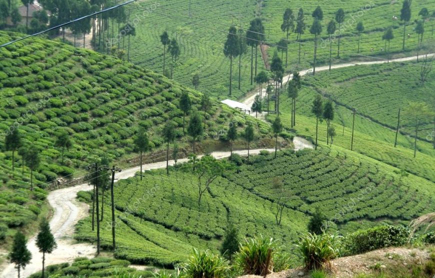 Gangtok And Darjeeling Tour Package