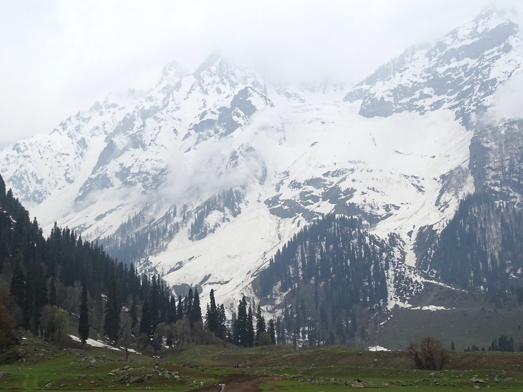 Day 04 : Srinagar - Sonamarg sightseeing - Srinagar 