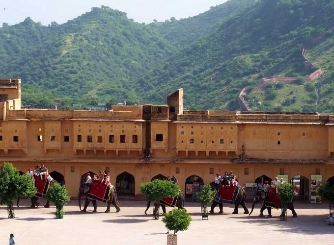 Amer Fort Elephant Safari In Jaipur