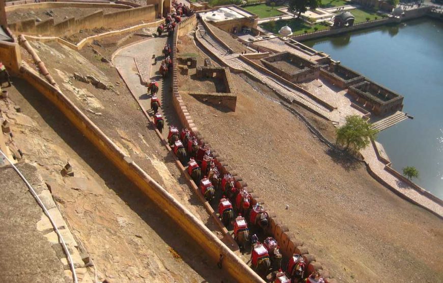 Amer Fort Elephant Safari In Jaipur